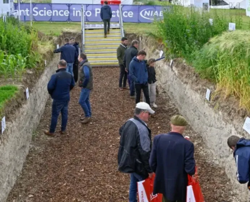 Niab Stand & Soil Hole