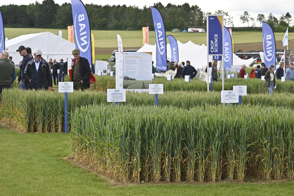 Crop Plots